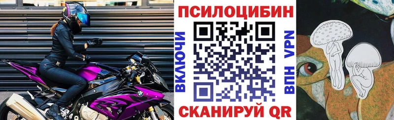 Псилоцибиновые грибы прущие грибы  цена   Дубовка 