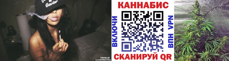 Каннабис OG Kush  Дубовка 